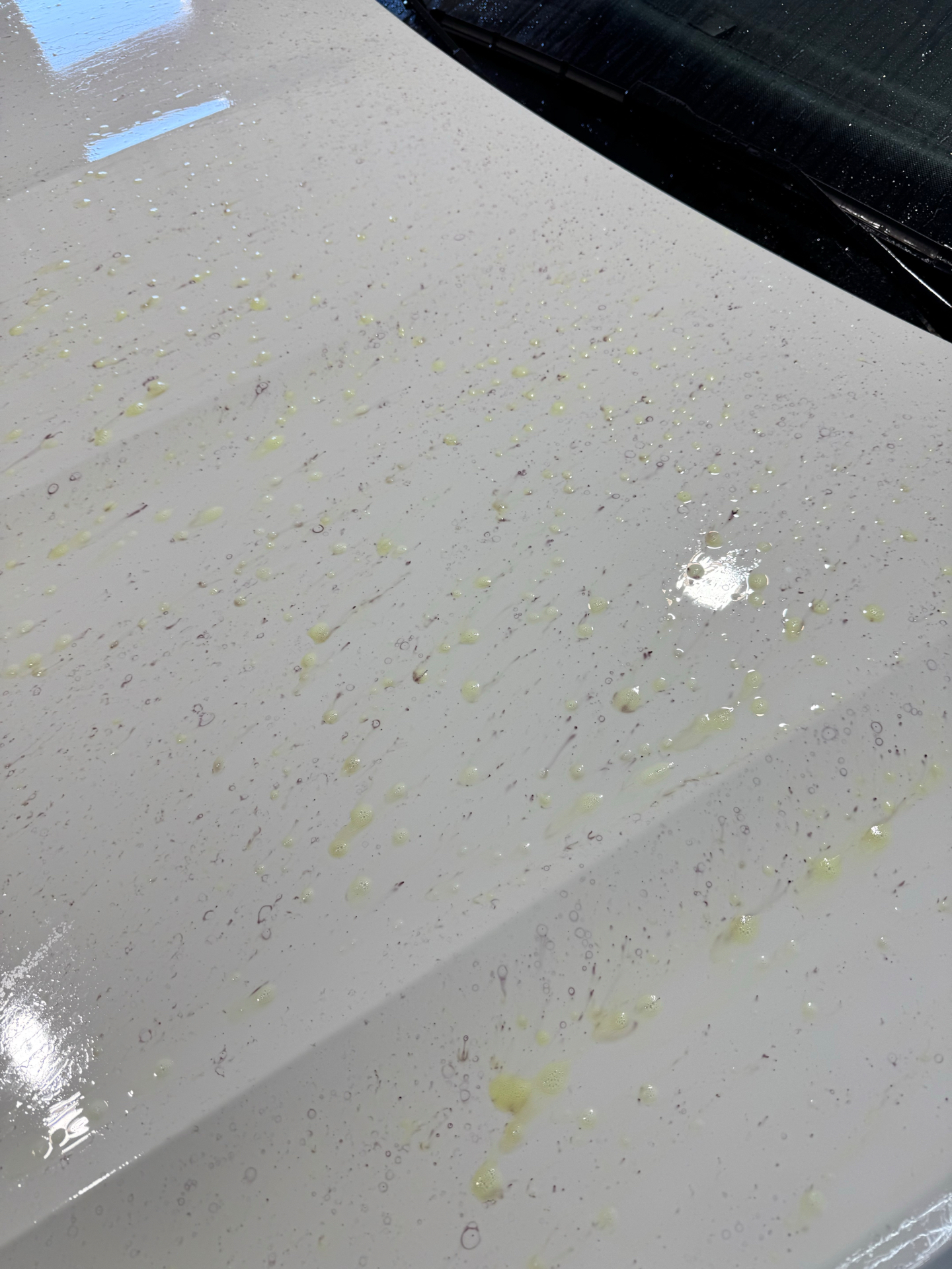 Decontamination Wash
